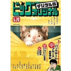 ビッグコミックオリジナル 2024年12号（2024年6月5日発売)