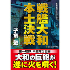 戦艦大和 本土決戦