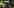 BioShock 4 Image Reportedly Leaks Online