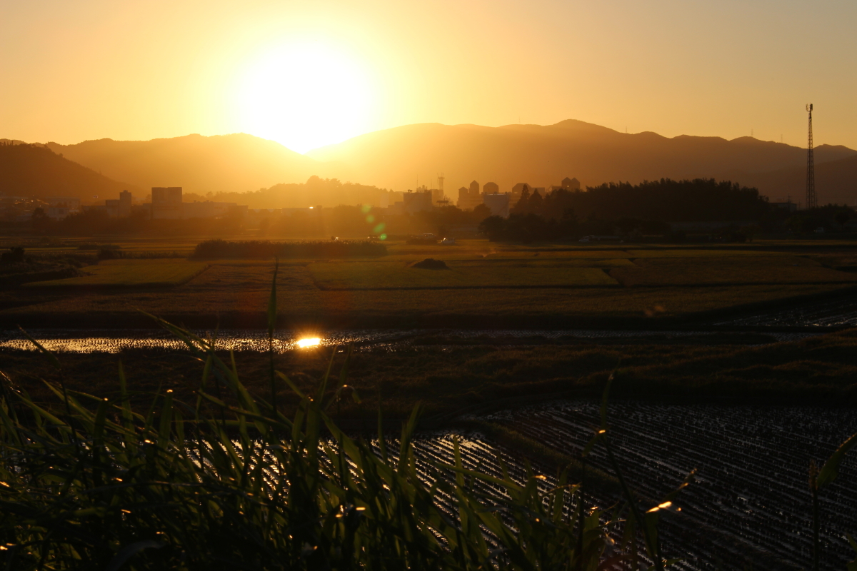 夕日