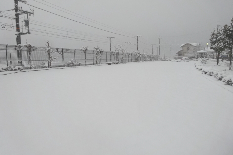 雪景色