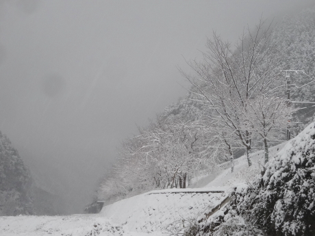 雪景色