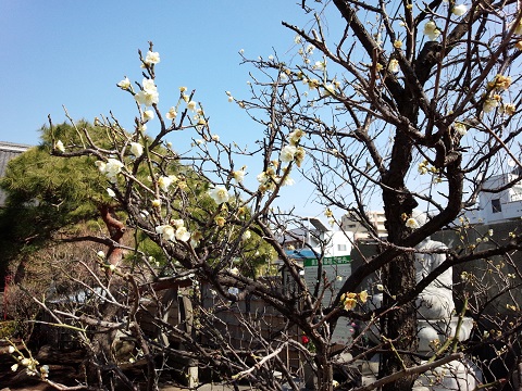 城東動物霊園20140316