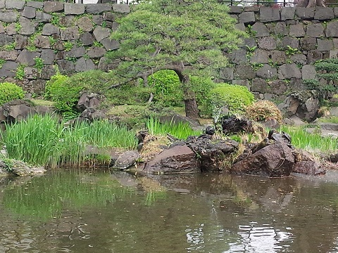 日比谷公園20140419