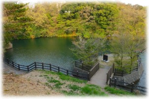 丸顔池　（静岡県牧之原市）