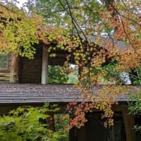 今日の富士山貸別荘・スターヒルズ