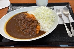 5年振りのかつやでカツカレー梅690円、コスパがいいです