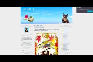 Mozilla Firefox 130.0 Beta 9