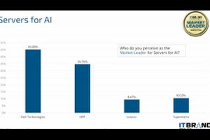 2024年 AI 向け IT インフラのリーダーは？｜IT Brand Pulse