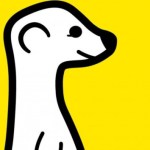 Face à Periscope, Meerkat construit sa reconversion