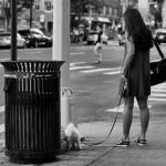 Marcher dans la rue avec son téléphone, c’est risqué