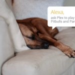 Alexa débarque sur l’application Android d’Amazon