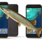 Les noms de code du Google Pixel 2 et du Google Pixel 2 XL ont fuité