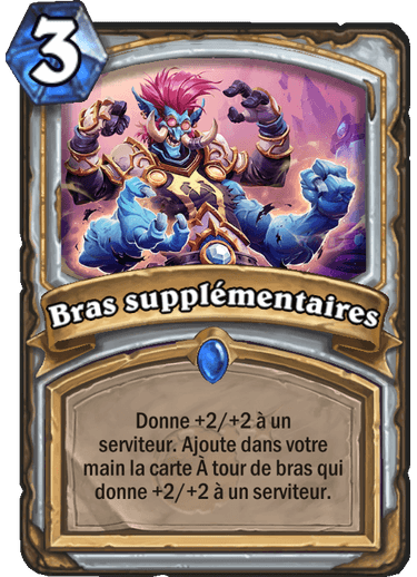 bras-supplementaires