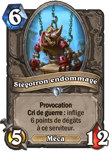 stegotron-endommage