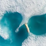 Voici la photographie de 2018 capturée par un drone