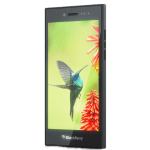 blackberry-leap