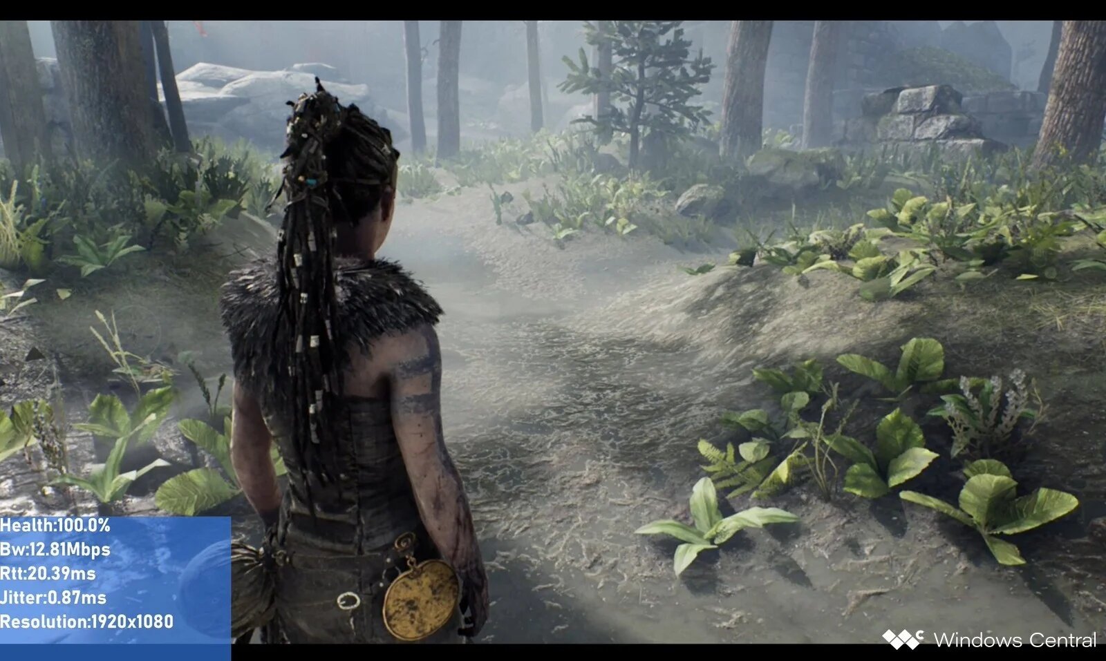 Full HD 1080p sur Hellblade