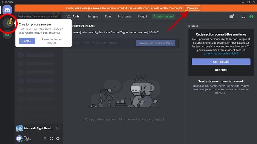 Comment configurer un serveur Discord 04