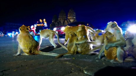 Des images très lumineuses mais parfaitement contrastées.