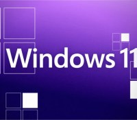 Windows 11