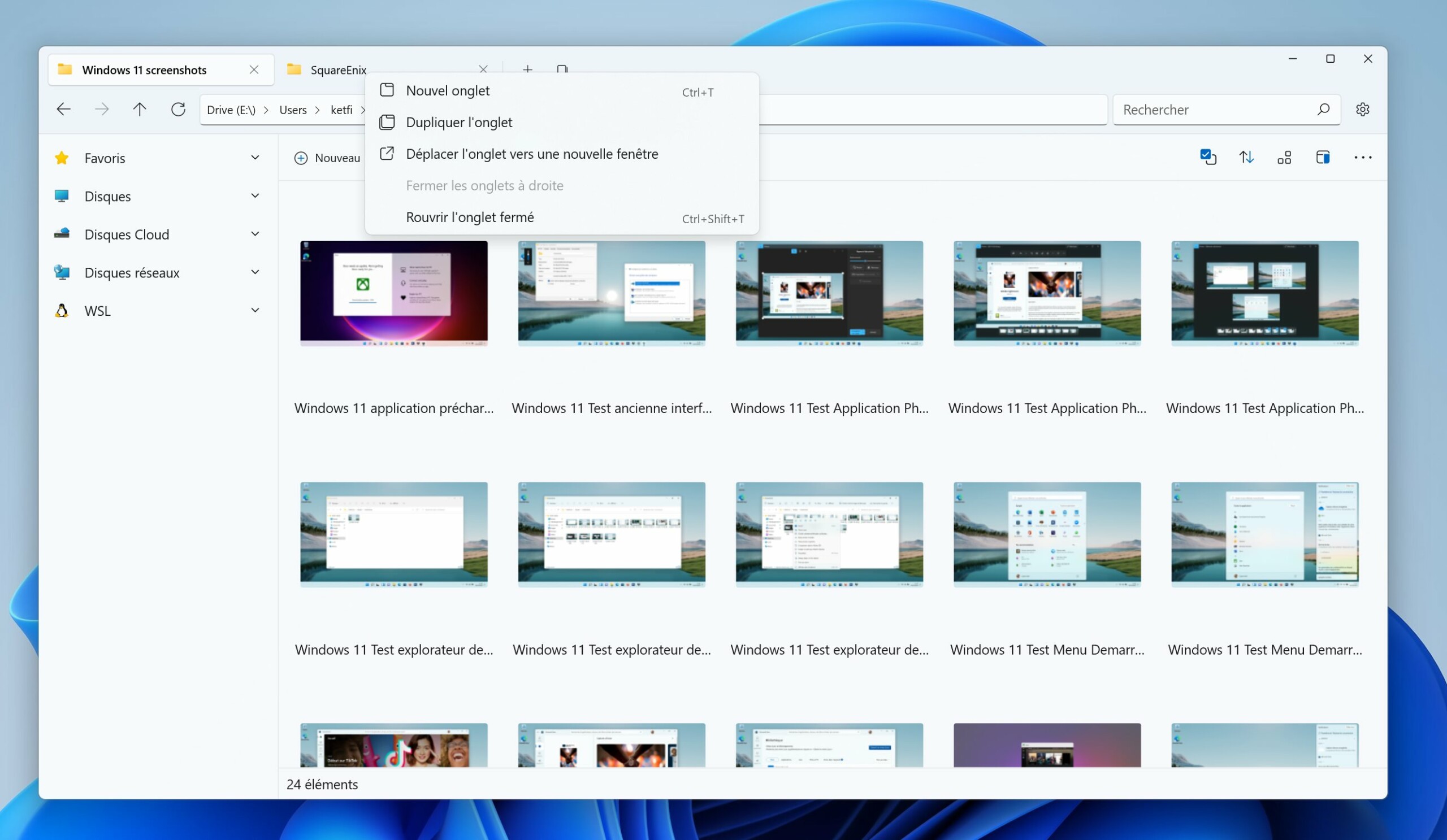 Microsoft Windows 11 application Files (4)