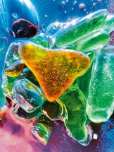 « Sea Glass », photo prise avec le mode macro de l'iPhone 13 Pro // Source : Guido Cassanelli