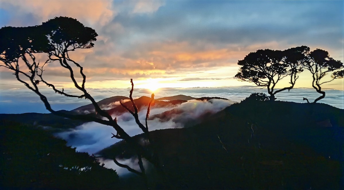 Le HDR est plutôt bien géré.