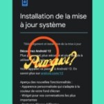 Oups, Google déploie Android 12 au lieu d’Android 13