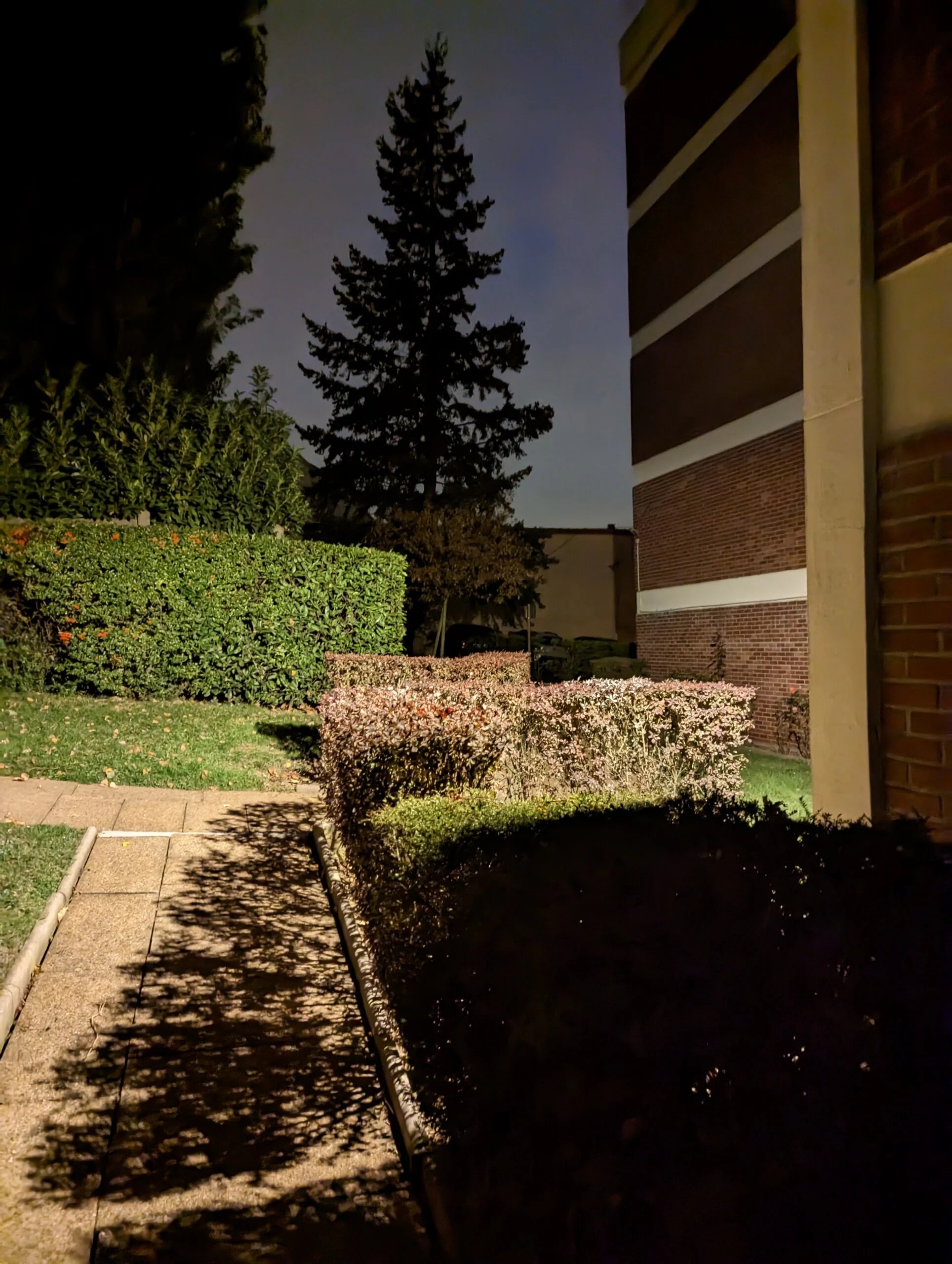 Pixel 7 nuit extérieur (7)