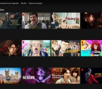 Interface de Netflix // Source : Capture d'écran