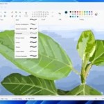 Paint va s’offrir une fonctionnalité digne des meilleurs logiciels de retouche