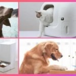 Fontaine à eau pour chat, traceur GPS pour chien… quels accessoires connectés pour nos animaux de compagnie ?