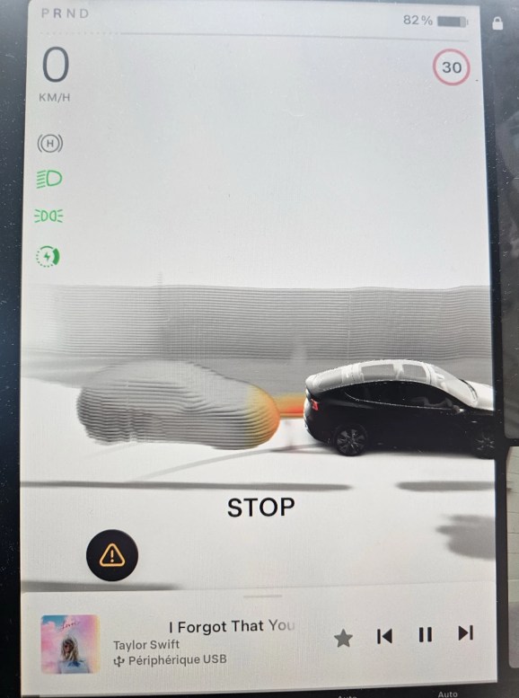 Tesla Vision 3D Parking 6