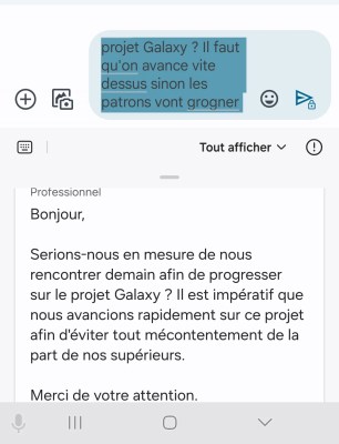 Screenshot_20240124_180310_Messages professionnel