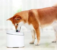 Xiaomi Smart Pet Fountain
