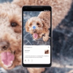 Comment Google Lens va améliorer ses recherches avec votre voix