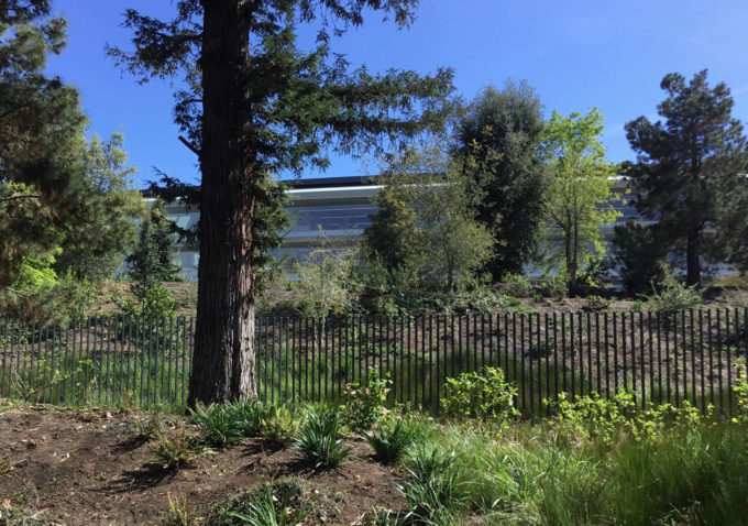 apple_park_1