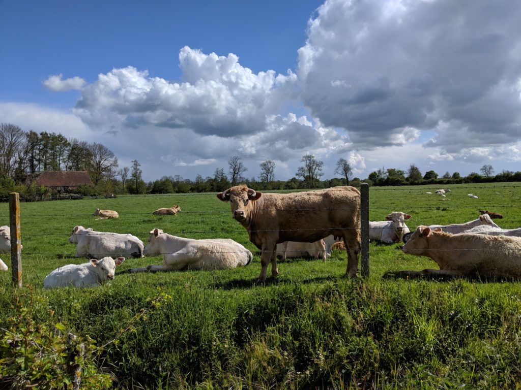 Photo avec le Pixel 3a de Google // Source : Julien Cadot pour Numerama