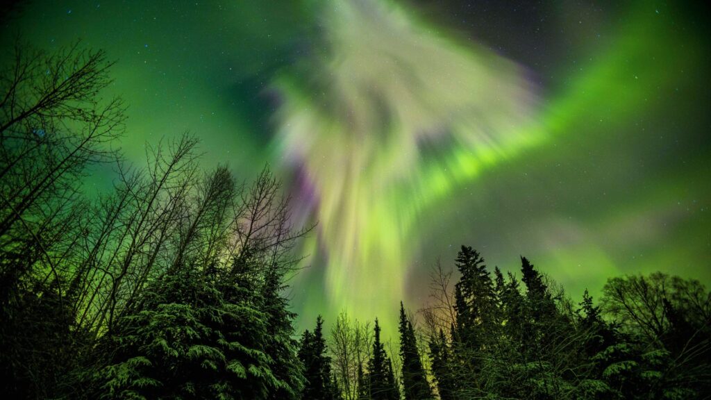 Danse des aurores boréales dans le ciel. // Source : Canva