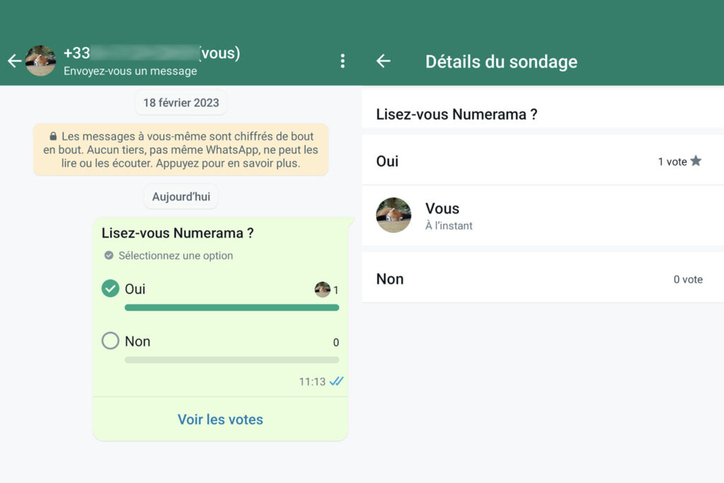 sondage vote whatsapp