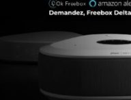 La Freebox Delta et OK Freebox. // Source : Free