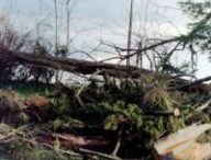 Dégâts de la tempête Martin en Dordogne, 1999. // Source : Wikimedia/CC/Traumrune (photo recadrée)