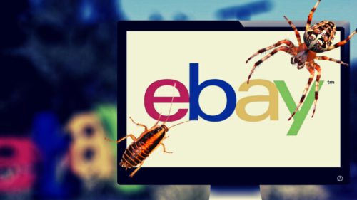 Des employés de eBay ont envoyé des cafards et araignées à un couple. // Source : Unspash