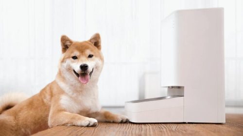 Smart Pet Food Feeder // Source : Xiaomi