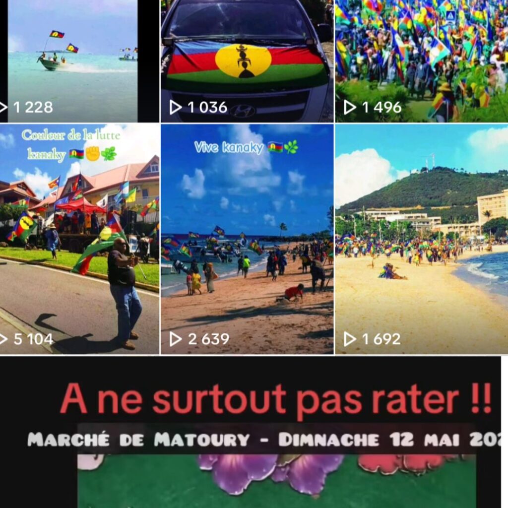 Des appels à la mobilisation sur TikTok // Source : Numerama / TikTok