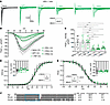 Confirmation of INa1.7 inhibition by 1.7iPA1, 4, and 6 and gating kinetics.