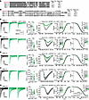 Sodium channel specificity of NaViPA1 (1.7iPA1) inhibition.