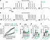 NaViPA1 expression on neuronal excitability of male rat PSNs.