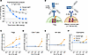 The Treg specificity and pharmacokinetics of mIL-2.